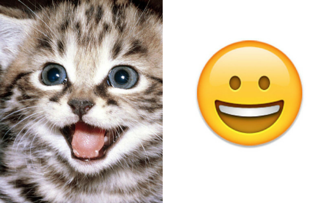 Detail Arti Emoticon Kucing Nomer 15