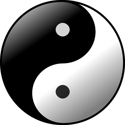 Detail Arti Logo Yin Dan Yang Nomer 18