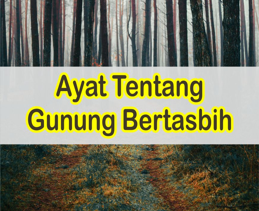 Detail Arti Perkata Surat Al Isra Ayat 27 Nomer 25