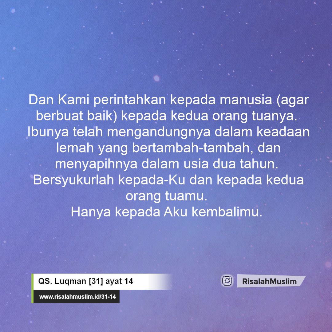 Detail Arti Perkata Surat Al Luqman Ayat 14 Nomer 51