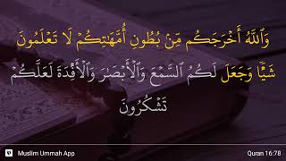 Detail Arti Surat An Nahl Ayat 78 Nomer 19