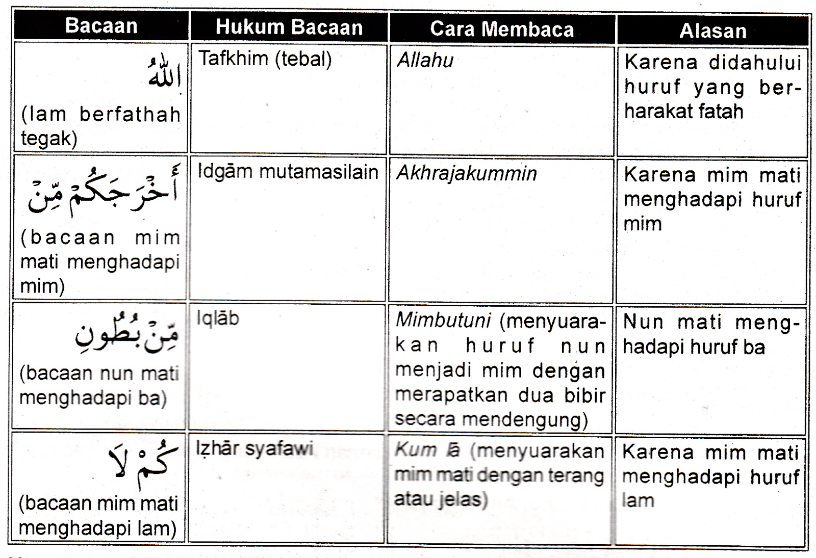 Detail Arti Surat An Nahl Ayat 78 Nomer 20