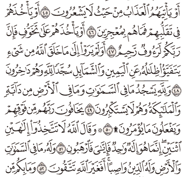 Detail Arti Surat An Nahl Ayat 78 Nomer 36