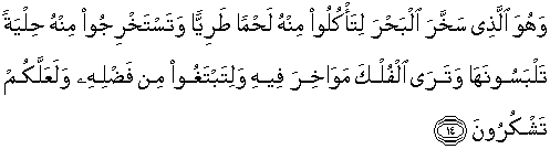 Detail Arti Surat An Nahl Ayat 78 Nomer 45