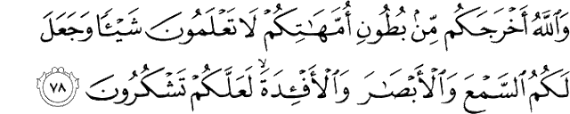 Detail Arti Surat An Nahl Ayat 78 Nomer 8