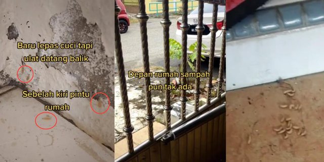 Detail Arti Tiba Tiba Ada Ulat Bulu Di Dalam Rumah Nomer 46