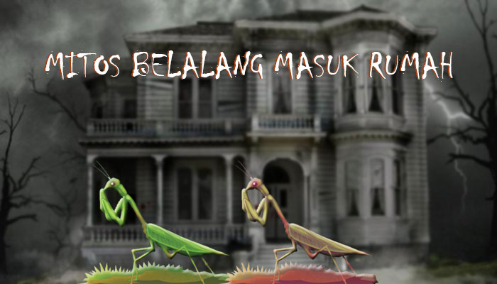 Detail Arti Walang Kadung Masuk Rumah Nomer 9