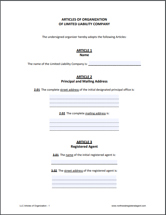 Detail Articles Of Organization Template Nomer 11