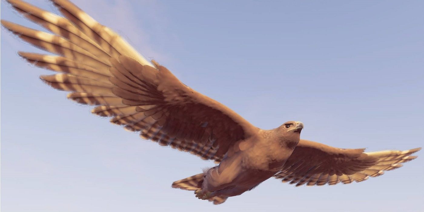 Detail Assassins Creed 3 Eagle Nomer 14