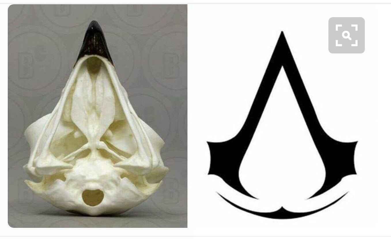 Detail Assassins Creed Symbol Nomer 20