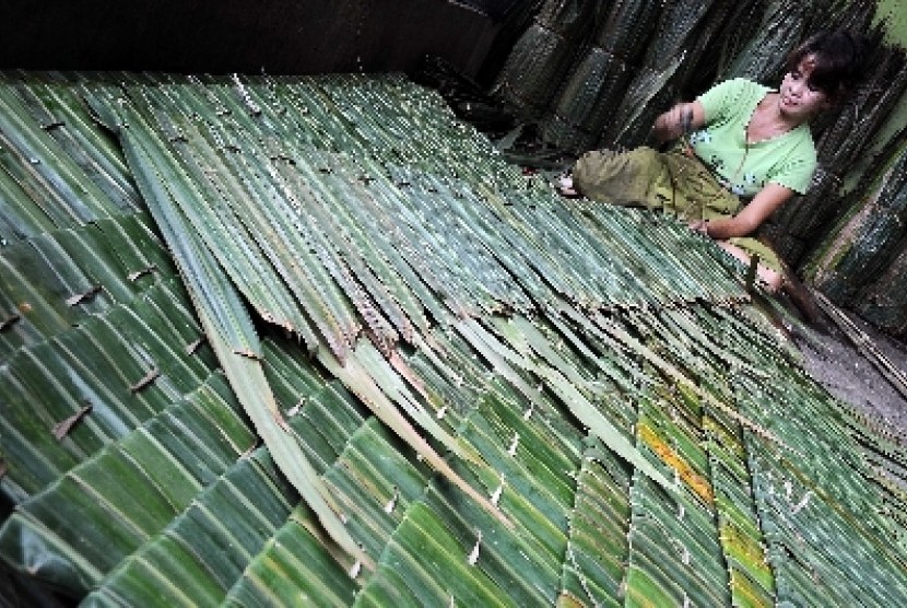 Detail Atap Rumah Dari Daun Kelapa Nomer 2