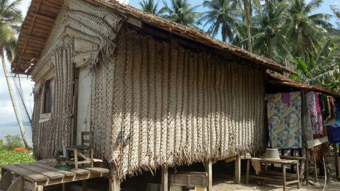 Detail Atap Rumah Dari Daun Kelapa Nomer 10