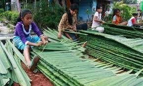 Detail Atap Rumah Dari Daun Kelapa Nomer 11