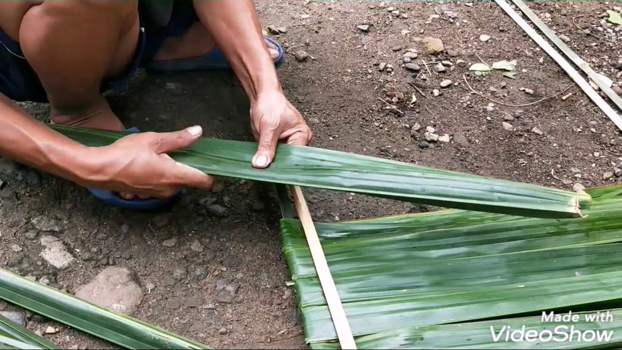 Detail Atap Rumah Dari Daun Kelapa Nomer 16