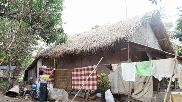 Detail Atap Rumah Dari Daun Kelapa Nomer 26