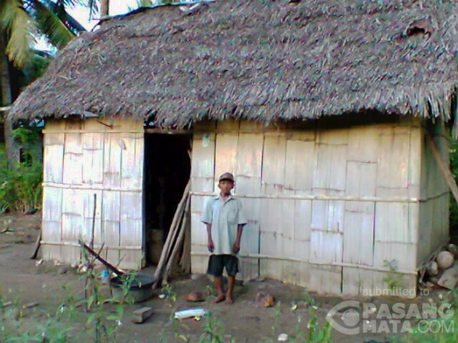 Detail Atap Rumah Dari Daun Kelapa Nomer 4