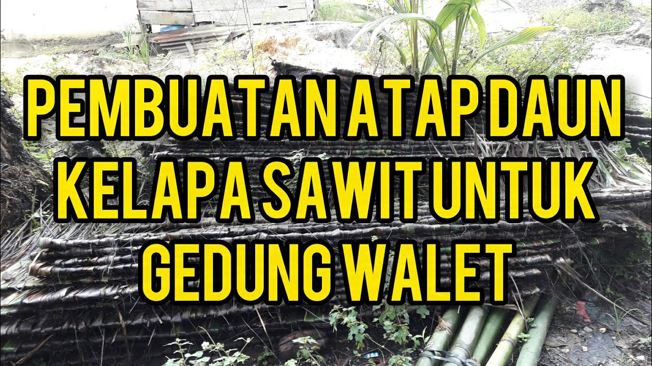 Detail Atap Rumah Dari Daun Kelapa Nomer 38