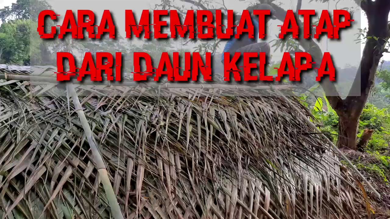 Detail Atap Rumah Dari Daun Kelapa Nomer 6