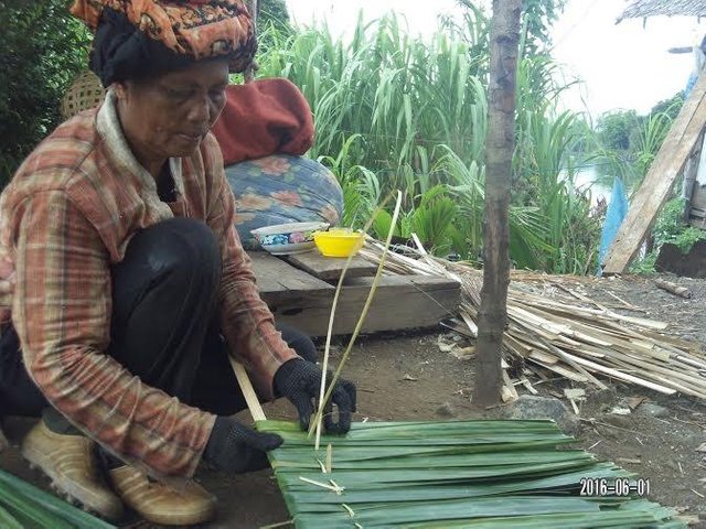 Detail Atap Rumah Dari Daun Kelapa Nomer 45