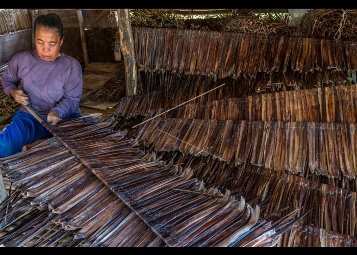 Detail Atap Rumah Dari Daun Kelapa Nomer 52