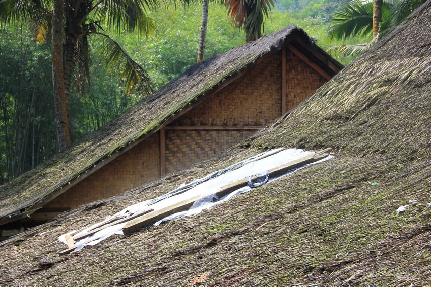 Detail Atap Rumah Dari Daun Kelapa Nomer 53