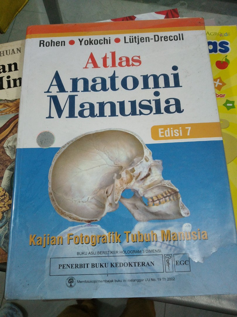 Detail Atlas Anatomi Manusia Nomer 20