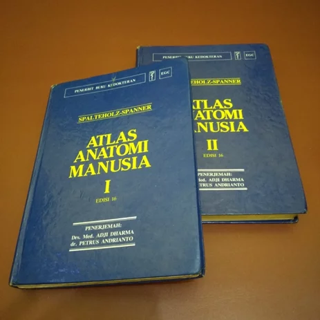 Download Atlas Anatomi Manusia Nomer 23