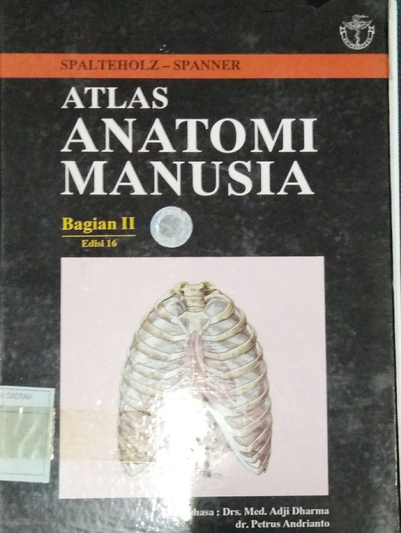 Detail Atlas Anatomi Manusia Nomer 27