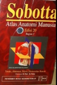 Detail Atlas Anatomi Manusia Nomer 30