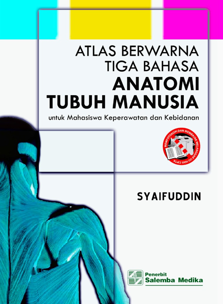 Download Atlas Anatomi Manusia Nomer 7