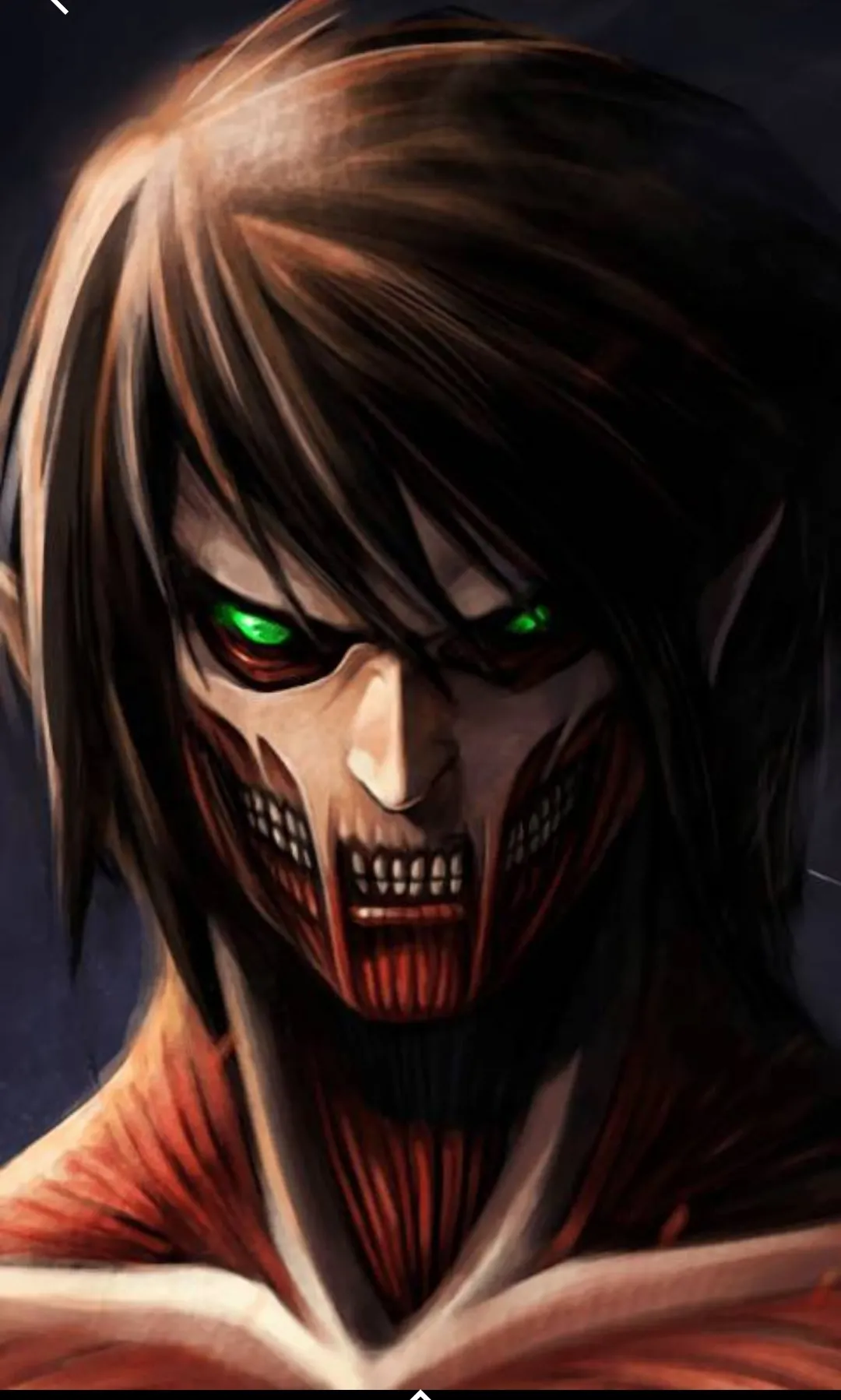 Download Attack On Titan Fanart Nomer 48