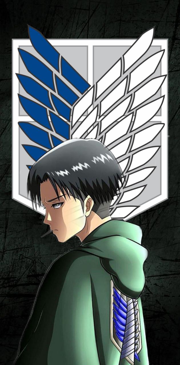 Detail Attack On Titan Levi Wallpaper Nomer 11