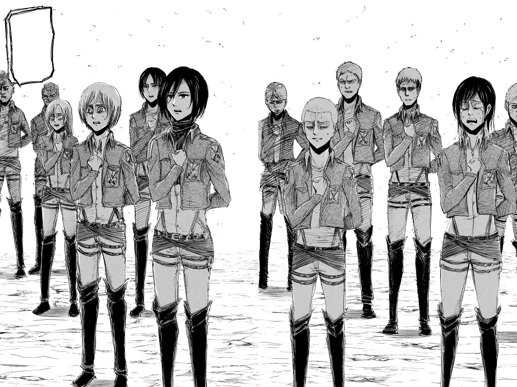 Detail Attack On Titan Survey Corps Nomer 8