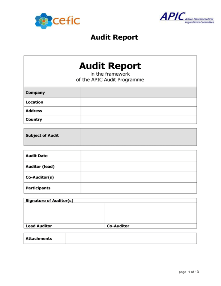 Detail Audit Investigation Template Nomer 13