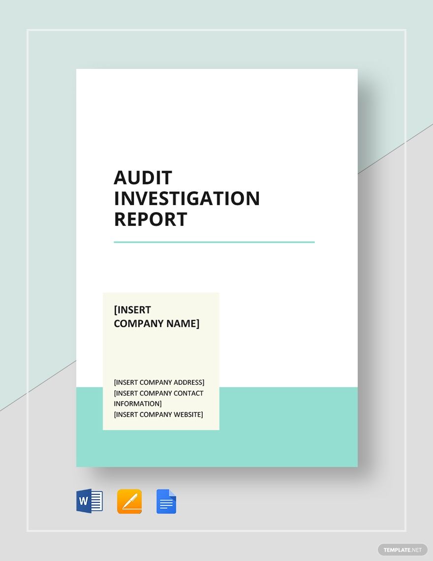 Detail Audit Investigation Template Nomer 3