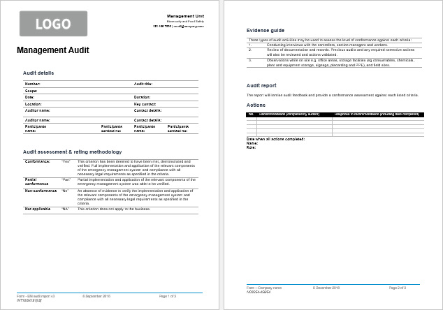 Download Audit Investigation Template Nomer 7