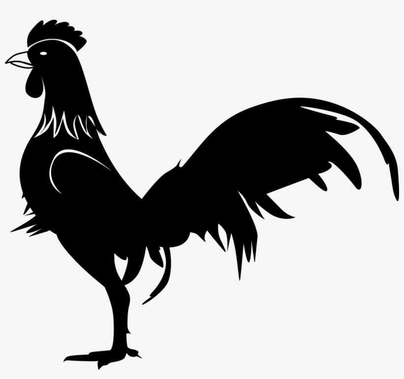 Ayam Vektor - KibrisPDR