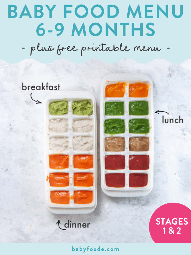 Detail Baby Meal Planner Template Nomer 56