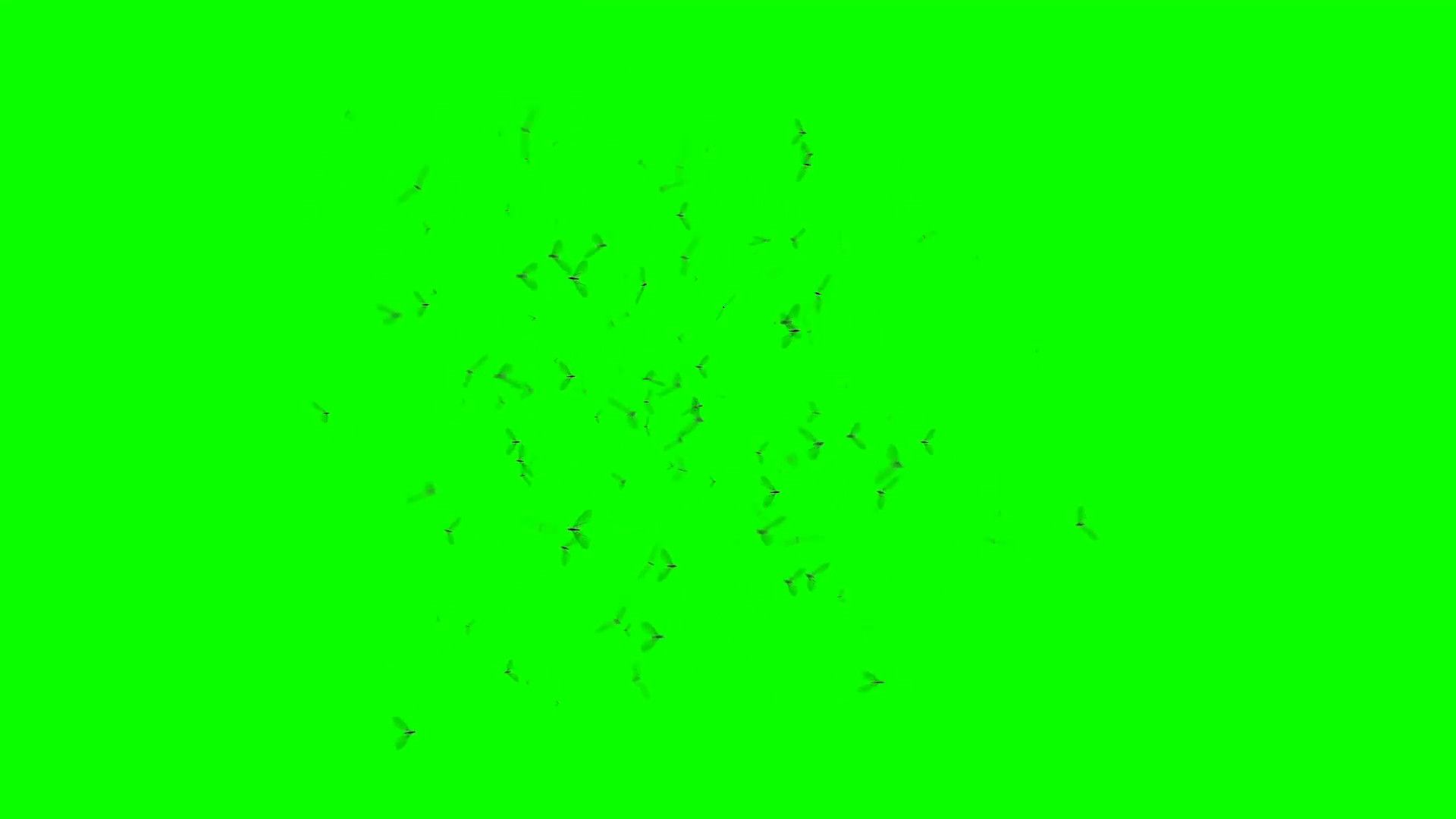 Detail Background Untuk Green Screen Nomer 12
