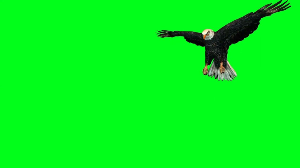 Detail Background Untuk Green Screen Nomer 25