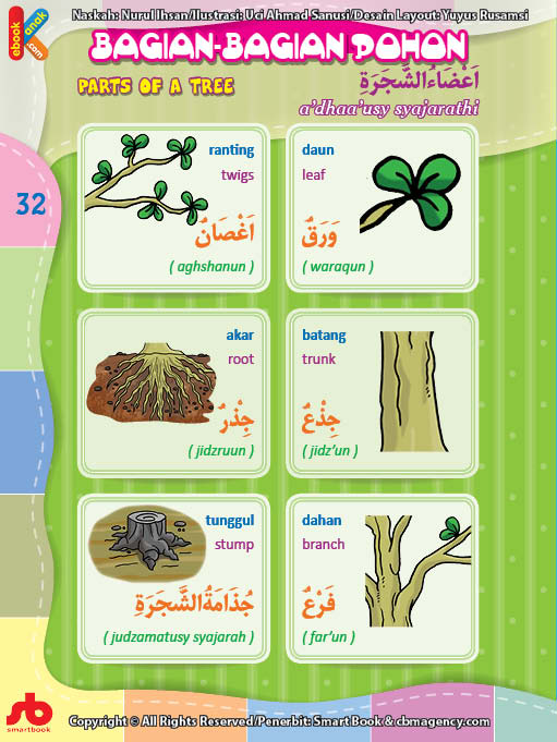 Detail Bagian Bagian Pohon Bahasa Inggris Beserta Gambar Nomer 9