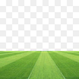 Detail Baground Lapangan Bola Nomer 25