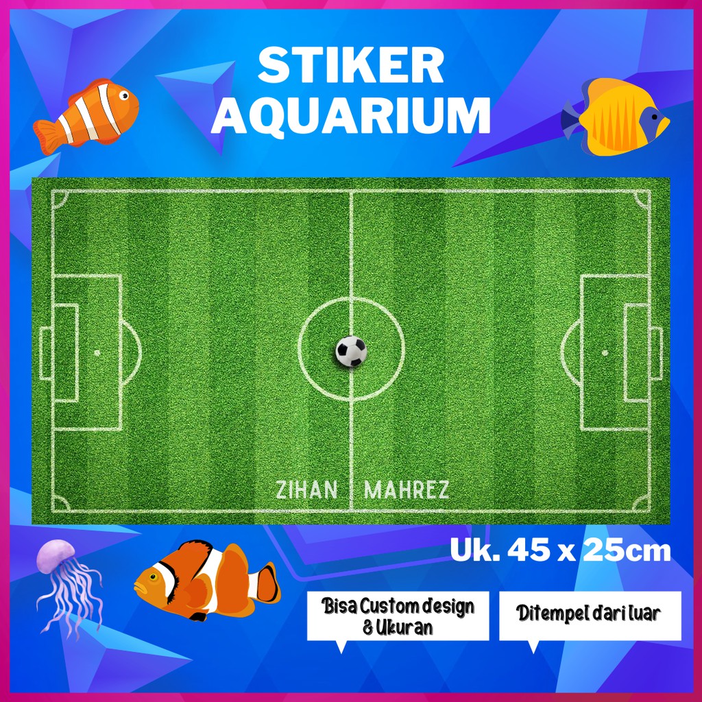 Detail Baground Lapangan Bola Nomer 39